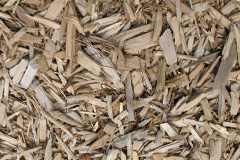 biomass boilers Stivichall